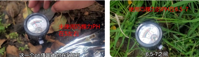 微信截圖_20240813135010.png