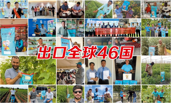 1723530012695106.png 微信截圖_20240813141906.png